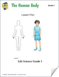 Students begin by cutting out the head and torso pieces and pasting them and the smaller body parts in the proper location. Human Body Parts Grade 1 Worksheets Teaching Resources Tpt