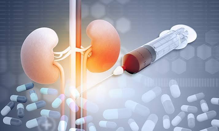 Illustration representing how the body clears medicine from the system over time