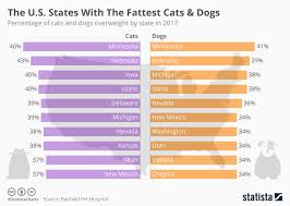 chart the u s states with the fattest cats dogs statista