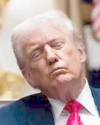 Tune in the latest episode of the “Donald Drumpf Theatre” radio show at  tomroeradio.substack.com