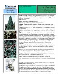 Check spelling or type a new query. Arborvitae University Of Wisconsin