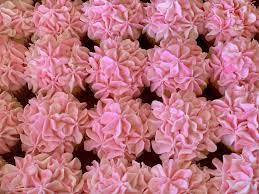 Pink Hydrangea Cupcakes Hydrangea Cupcakes Hydrangea Cake Pink Hydrangea