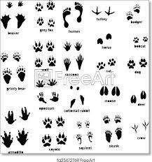 Assuming the footprints are in the snow, then draw the prints as normal. Free Art Print Of Animal Tracks In 2021 Animal Tracks Animal Footprints Vet Tech Tattoo