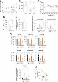 In addition to its role in the regulation of glucose metabolism, glucagon has been described to promote ketosis in the fasted state. Ketone Body Receptor Gpr43 Regulates Lipid Metabolism Under Ketogenic Conditions Pnas