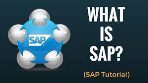 The firm is widely recognized as the global leader in enterprise applications in the form of software and services related to software. What Is Sap Why Do We Need Erp Beginner Tutorial Youtube