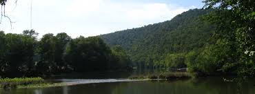 Descendants of Michael Eichelberger