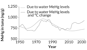 Mercury Levels In Fish Are Rising Despite Reduced Emissions