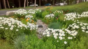 Dig a hole about 6 inches deep where the proposed rain garden will go. Soak Up The Rain Rain Gardens Us Epa
