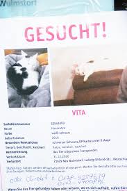 Habe gehört, dass katzen zwei mal im jahr werfen. Diverse Leserbriefe Falle Sind Bei Der Polzei Bekannt Katzen In Neu Wulmstorf Spurlos Verschwunden Neu Wulmstorf