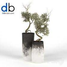 470 Plant 3dmodel 3dsmax Indoor Olive Tree Patio Garden Design Vertical Garden Plants