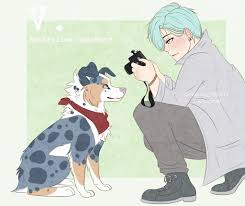 V Dog Australian Shepherd Mystic Messenger Mystic Messenger V Mystic Messenger Comic Mystic Messenger