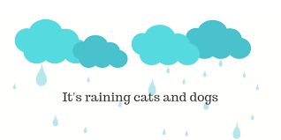 English idioms and idiomatic expressions. 200 Common Idioms With Meanings Examples And 4 Quizzes Lemon Grad