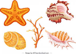Download Vector Starfish For Free Download About 43 Vector Starfish Sort By Newest First