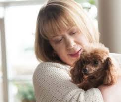 Q & A with New York Bestselling Author Susan Mallery — What Is That Book  About