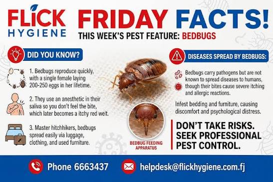 Mid-year is here! Meaning there will be lots of holiday travel! However, as  travel becomes more common, which pests might you come across? Although  they are called Bed Bugs, these pests do