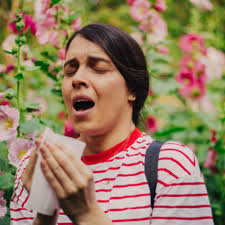 Image result for Allergic Triad