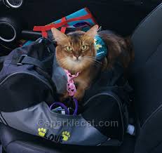 All other animals (with the exception of service dogs and cats) must first go through honolulu for acceptance by hawaiian quarantine officials. Therapy Pets Emotional Support Animals Service Animals What S The Difference Summer S Fabulous Cat Life