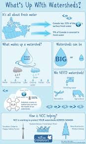 Forests and wetlands help to prevent or reduce costly climate change andflooding impacts, manages drought, contributes to tourism, fisheries, forestry, agriculture and mining industries. Pin By Megan Coppock On Earthly Love Earth Science Earth And Space Science Watersheds