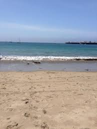 Image result for California Sand 2024 Santa Cruz