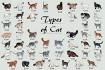 Cat Breed Info Center - List of All Cat Breeds by Type ...