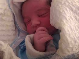 Fundraiser by Jackie Maier : Help save my family from Gaza genocide &  evacuate