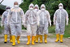 Postangial bacteremia and pulmonary involvement caused by fusobacterium. Infectious Diseases The Threat To Your Business And Community Risk And Resilience Hub