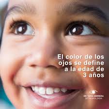 Dr. Guillermo Tapia Herrera