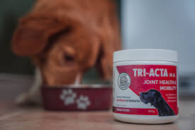 Extend pets joint care for dogs. Top 6 Animal Supplements For Joint Mobility Integricare Animal Health