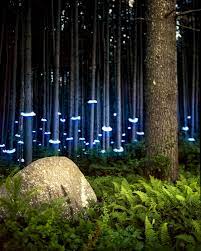 Homebrew Electronics Turn Landscapes Into Unearthly Sci Fi Scenes Ferns For Francesca Barry Underwood Light Art Installation Landscape Art Light Sculpture