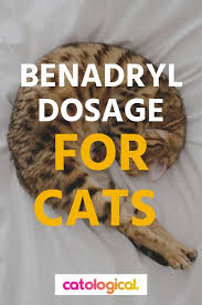 Should You Give Your Kitty Benadryl If So How Much Read On To Learn How Much Benadryl You Can Give To Your Cat Benadryl For Cats Cat Allergies Meds For Dogs
