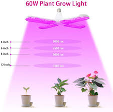 Do grow lights give off radiation? Led Grow Lights For Indoor Plants Jesled 60w Full Spectrum Led Grow Light Bulb With Timer Led Grow Light Bulbs Grow Light Bulbs Led Plant Lights