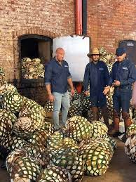 Heck have a bunch of people over for a tequila tasting party why limit yourself to two brands! Dwayne The Rock Johnson Launches A New Spirit Teremana Tequila