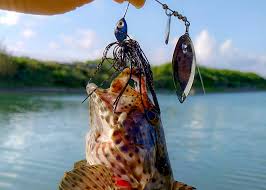 検証】10数年前のバスルアーで 沖縄のルアーフィッシングは楽しめるのか？ | WEBマガジン HEAT