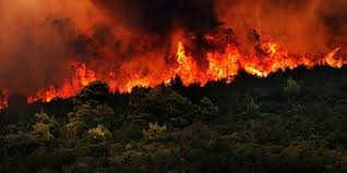 Jul 28, 2021 · yeniköy mahallesi yakınlarındaki ormanlık alanda, saat 12.00 sıralarında çıkan orman yangını rüzgarın da etkisiyle kısa sürede yayıldı. Gaziantep Te Orman Yangini