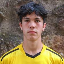 Chris Wells' Tuscola High School Bio