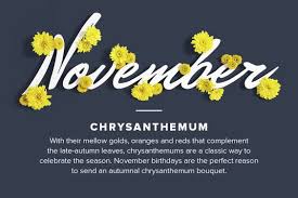 Top 15 November Birth Flower Meaning November Birth Flower Birth Month Flowers Month Flowers