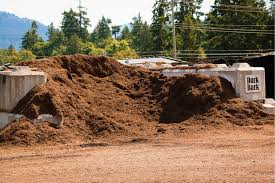 Forest mulch is mulched from natural trees and is helpful for gardens and using in large areas. Ofjn6mrv6qh6dm