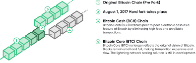 An example is a hedge fund manager in the united states, mike novogratz who thinks bitcoin price is going to go as high as $65,000. What Is Bitcoin Cash How Does Bitcoin Work Get Started With Bitcoin Com