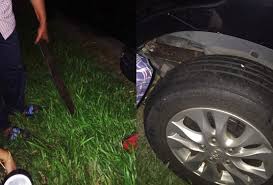 Check spelling or type a new query. Dua Kali Dengar Bunyi Kereta Berpusing Sebelum Terhenti Tengah Highway Kiri Kanan Treler Laju Tengok Rakaman Siapa Pun Tak Sangka Selamat Viral Mstar