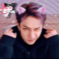 Pin By Cloudvrse On Channie Cat Girl Catboy Kids Icon