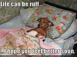 Life Can Be Ruff I Hope You Feel Better Soon Feel Better Funny Feel Better Quotes Hope Youre Feeling Better