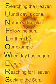 From $ 3.75 usd on sale. 180 Sunflower Quotes Ideas Sunflower Quotes Sunflower Quotes
