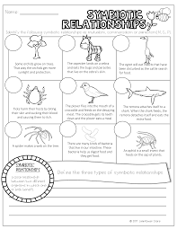 Symbiotic Relationships English And Spanish Versions