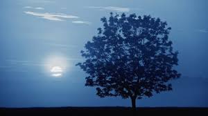 Mondkalender Gartnern Nach Dem Mond Garten Mondkalender Mond