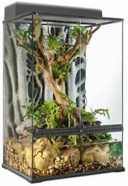 Exo Terra Glass Paludarium Medium X Tall 60x45x90cm For Reptile Or Amphibian 15561226080 Ebay Fish Tank Decorations Tropical Fish Tanks Aquarium Decorations