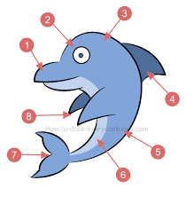 Savesave simple step of creating 3d drawings in autocadd for later. How To Draw A Simple 3d Dolphin