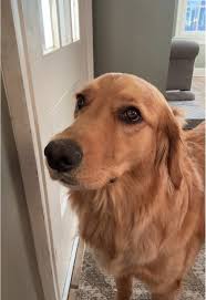 She just wanted to go outside