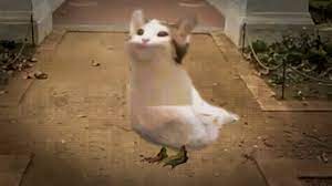 Check out amazing popcat artwork on deviantart. Pop Cat Meme The Great Pop Cat Migration Youtube