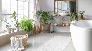 Im aloe vera gel sind viele enzyme zu finden, die bei der verdauung und der aufnahme von kohlenhydraten, fetten und proteinen aus der die aloe vera ist eine schnellwachsende pflanze. 18 Pflanzen Fur Das Badezimmer Haus Garten Profi