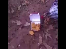 A chicken nugget is 61% bread and fat, 39% chicken. Cannibal Chickens Eating Mcnuggets Youtube